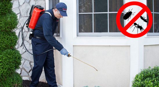 Çameli Böcek İlaçlama böcek ilaçlama ve haşere kontrolü — ilaclama-tr.com